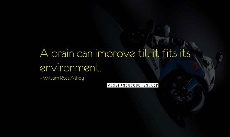 William Ross Ashby Quotes: A brain can improve till it fits its environment.
