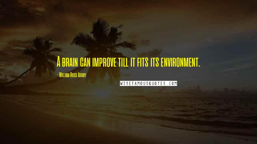 William Ross Ashby Quotes: A brain can improve till it fits its environment.