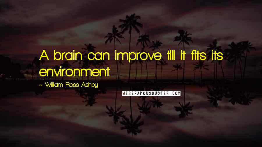 William Ross Ashby Quotes: A brain can improve till it fits its environment.