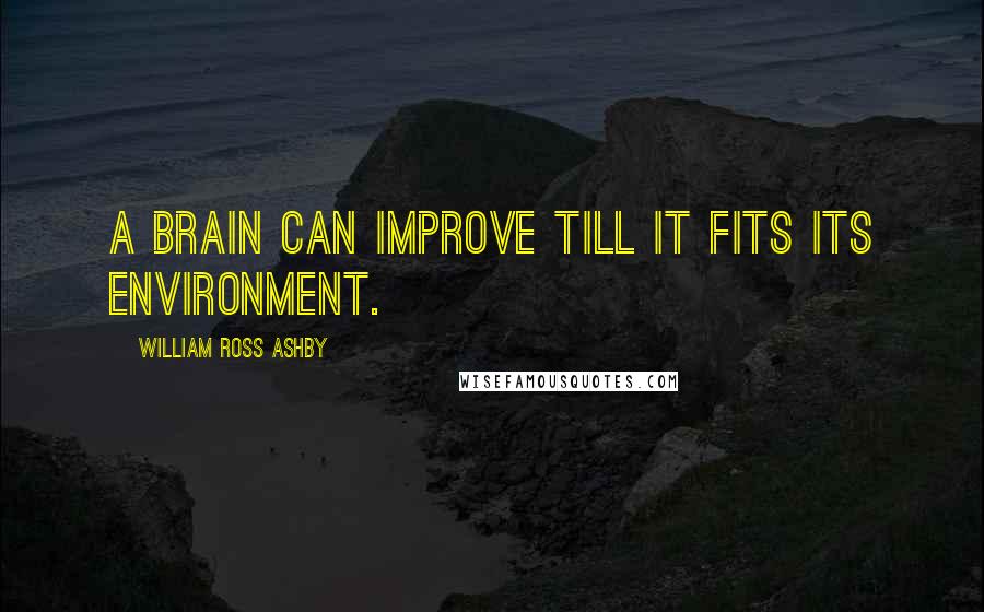 William Ross Ashby Quotes: A brain can improve till it fits its environment.