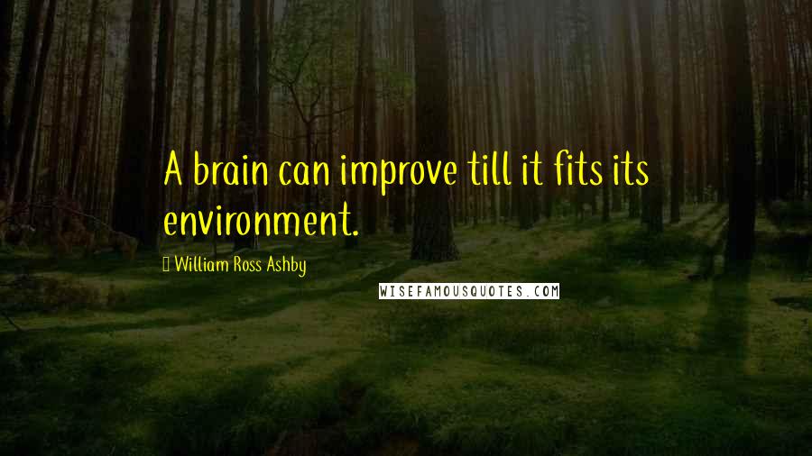William Ross Ashby Quotes: A brain can improve till it fits its environment.