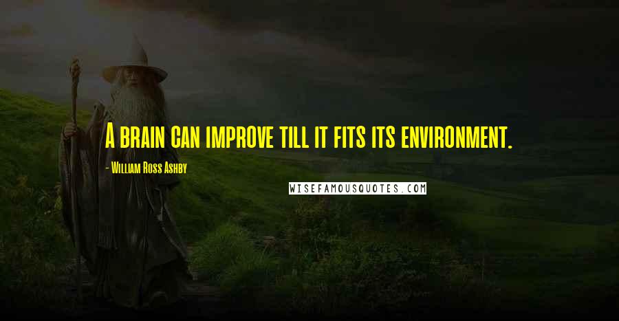 William Ross Ashby Quotes: A brain can improve till it fits its environment.