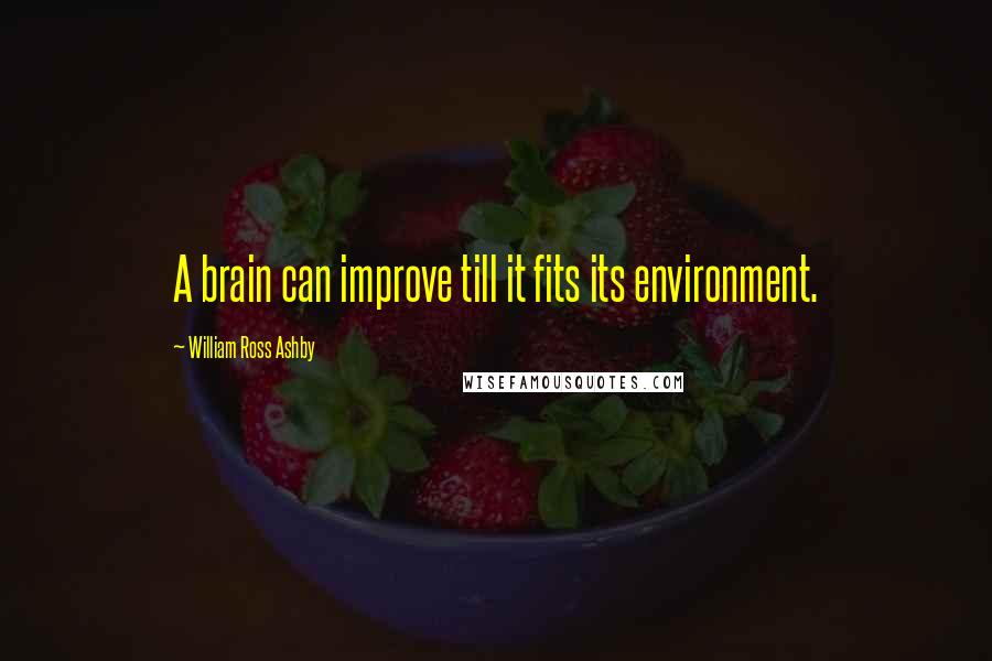 William Ross Ashby Quotes: A brain can improve till it fits its environment.