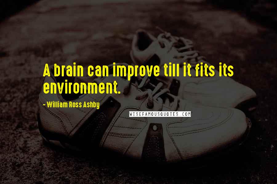 William Ross Ashby Quotes: A brain can improve till it fits its environment.