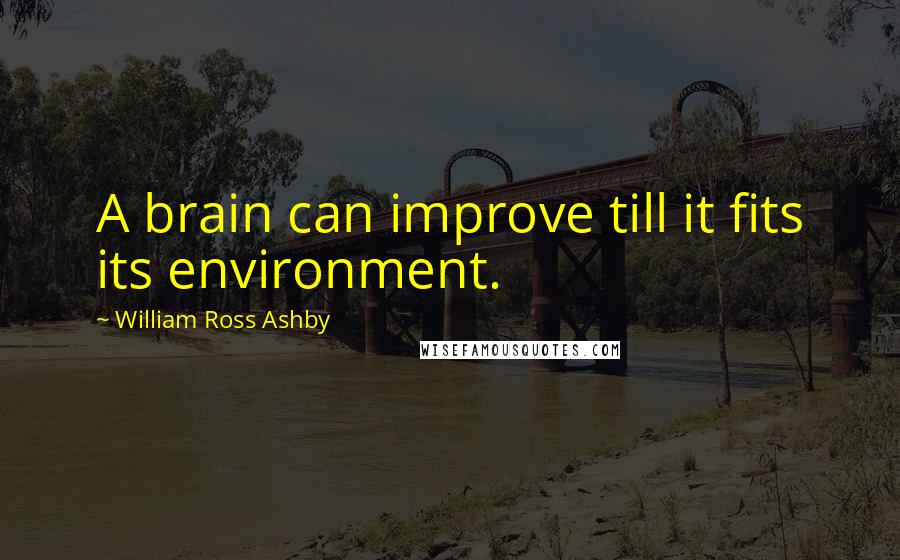 William Ross Ashby Quotes: A brain can improve till it fits its environment.