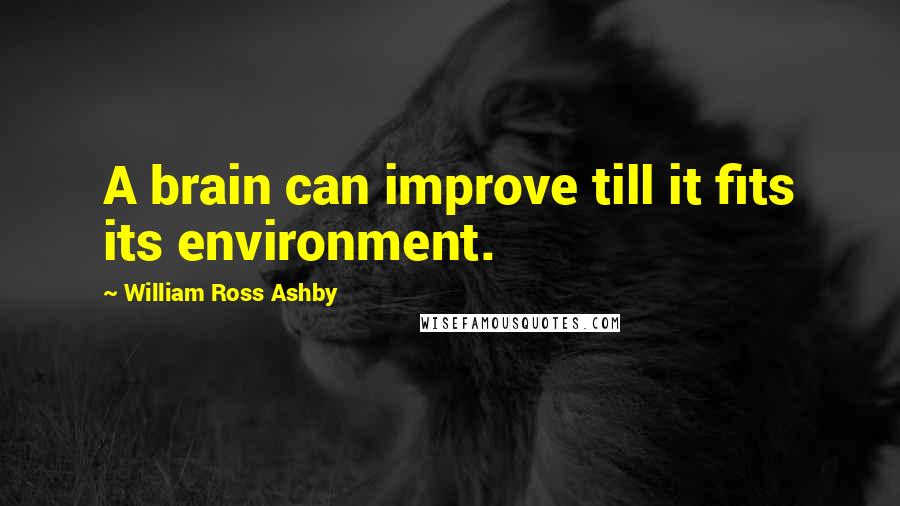 William Ross Ashby Quotes: A brain can improve till it fits its environment.