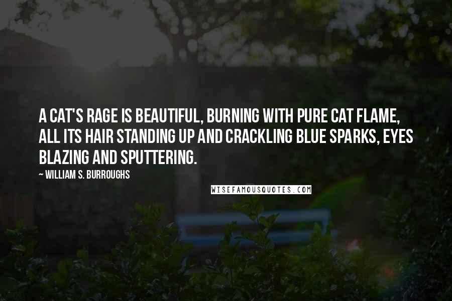 William S. Burroughs Quotes: A cat's rage is beautiful, burning with pure cat flame, all its hair standing up and crackling blue sparks, eyes blazing and sputtering.