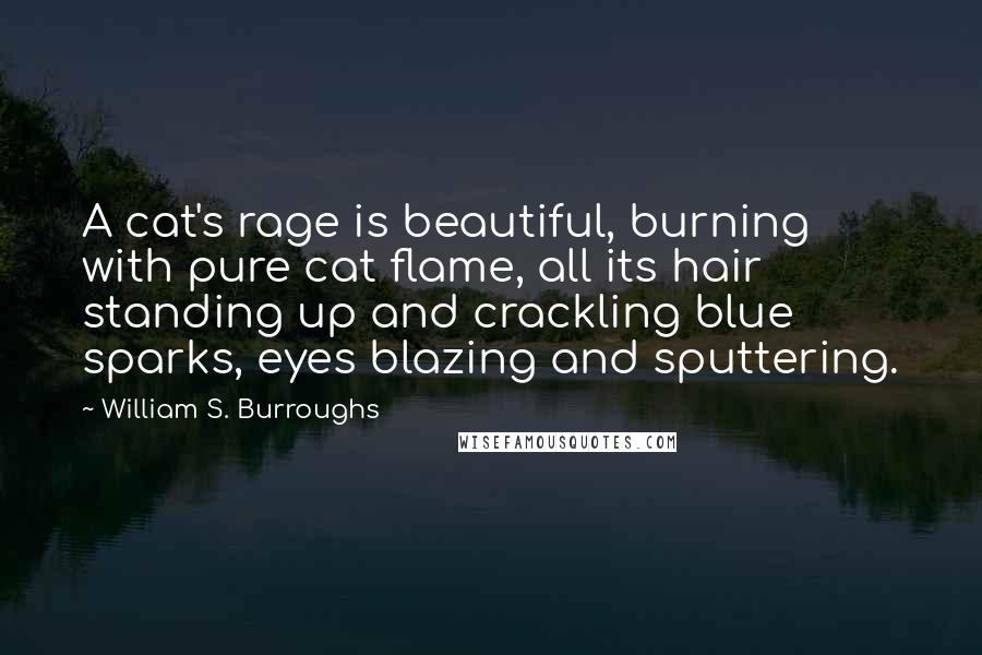 William S. Burroughs Quotes: A cat's rage is beautiful, burning with pure cat flame, all its hair standing up and crackling blue sparks, eyes blazing and sputtering.