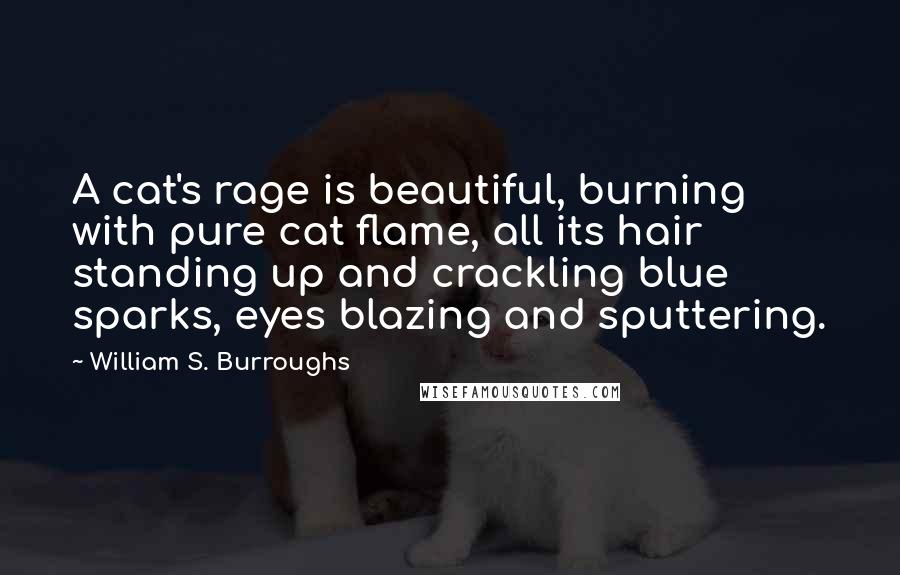 William S. Burroughs Quotes: A cat's rage is beautiful, burning with pure cat flame, all its hair standing up and crackling blue sparks, eyes blazing and sputtering.