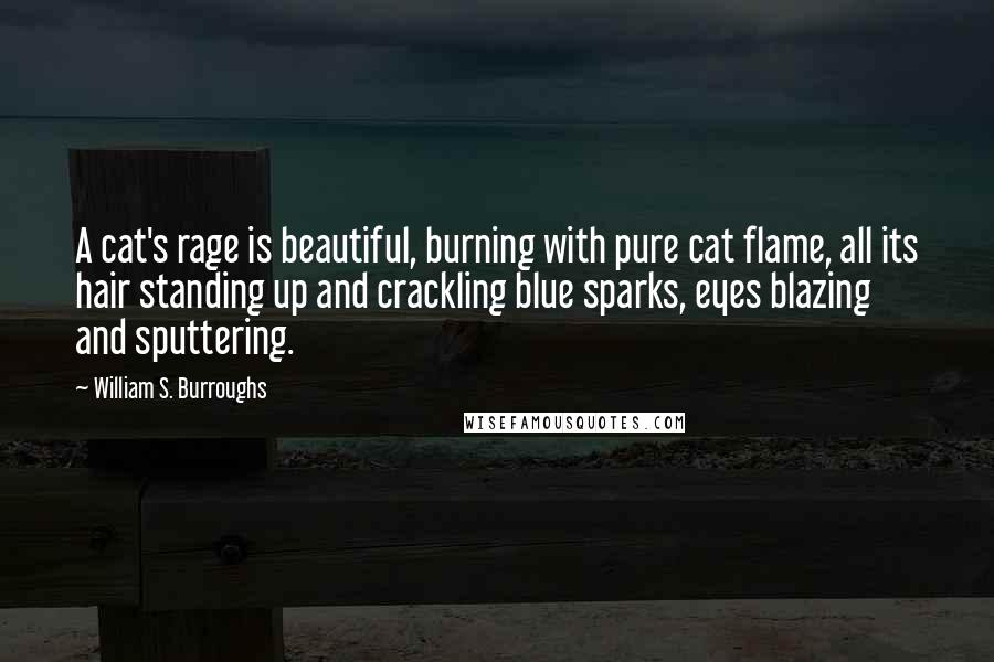 William S. Burroughs Quotes: A cat's rage is beautiful, burning with pure cat flame, all its hair standing up and crackling blue sparks, eyes blazing and sputtering.