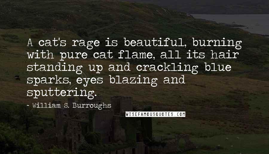 William S. Burroughs Quotes: A cat's rage is beautiful, burning with pure cat flame, all its hair standing up and crackling blue sparks, eyes blazing and sputtering.