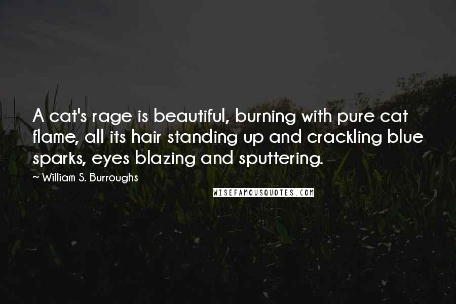 William S. Burroughs Quotes: A cat's rage is beautiful, burning with pure cat flame, all its hair standing up and crackling blue sparks, eyes blazing and sputtering.