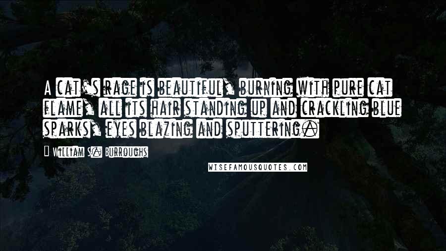 William S. Burroughs Quotes: A cat's rage is beautiful, burning with pure cat flame, all its hair standing up and crackling blue sparks, eyes blazing and sputtering.