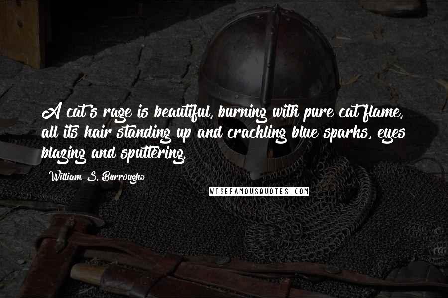 William S. Burroughs Quotes: A cat's rage is beautiful, burning with pure cat flame, all its hair standing up and crackling blue sparks, eyes blazing and sputtering.