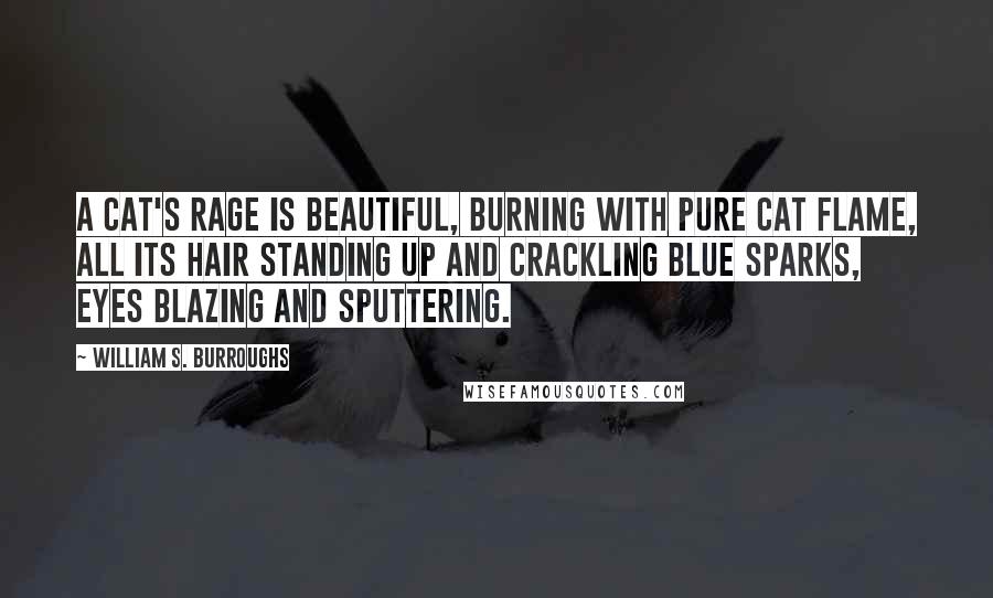 William S. Burroughs Quotes: A cat's rage is beautiful, burning with pure cat flame, all its hair standing up and crackling blue sparks, eyes blazing and sputtering.