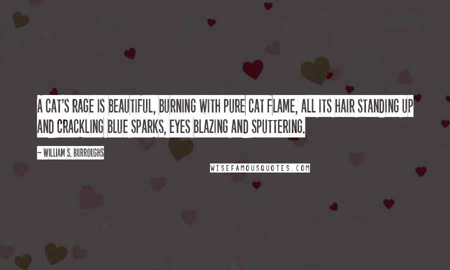 William S. Burroughs Quotes: A cat's rage is beautiful, burning with pure cat flame, all its hair standing up and crackling blue sparks, eyes blazing and sputtering.