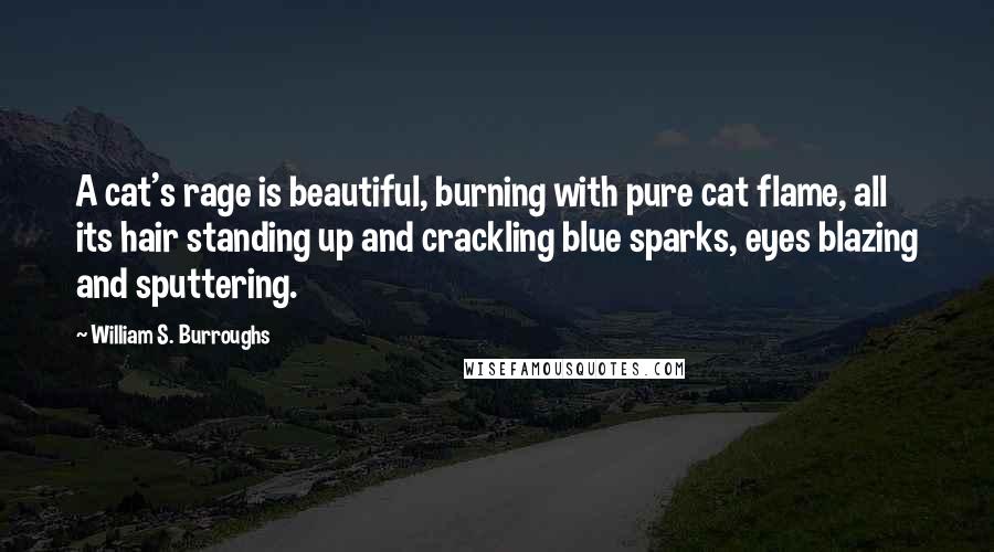 William S. Burroughs Quotes: A cat's rage is beautiful, burning with pure cat flame, all its hair standing up and crackling blue sparks, eyes blazing and sputtering.