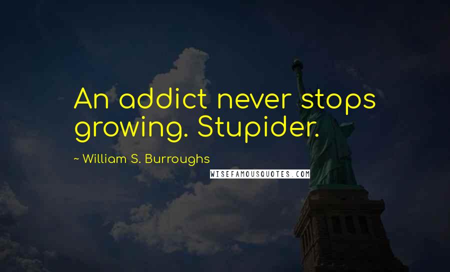 William S. Burroughs Quotes: An addict never stops growing. Stupider.