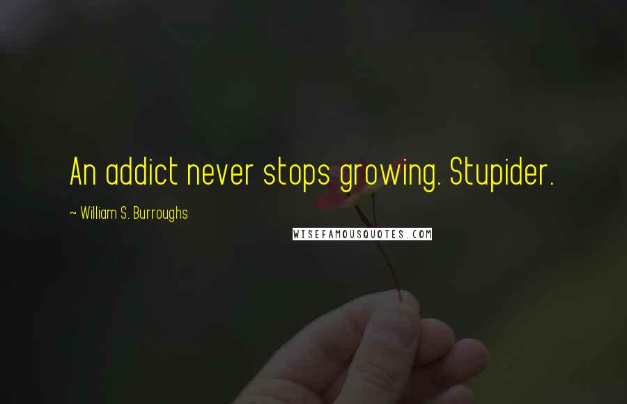 William S. Burroughs Quotes: An addict never stops growing. Stupider.