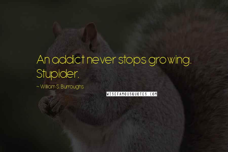 William S. Burroughs Quotes: An addict never stops growing. Stupider.