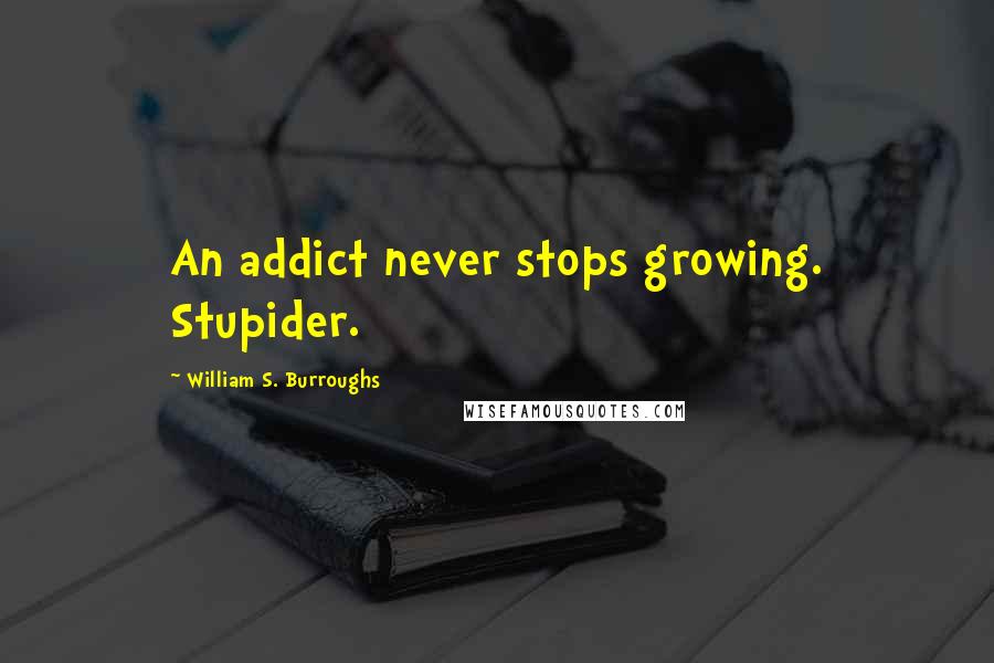 William S. Burroughs Quotes: An addict never stops growing. Stupider.