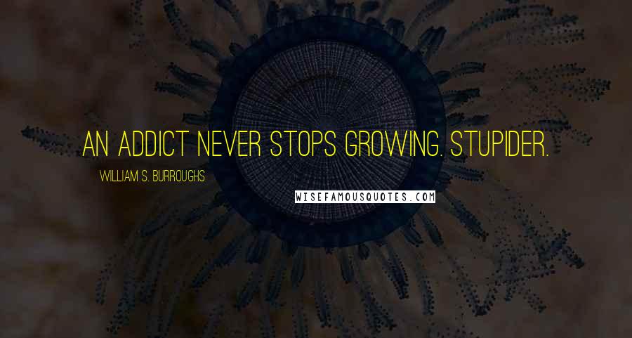 William S. Burroughs Quotes: An addict never stops growing. Stupider.