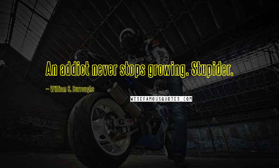 William S. Burroughs Quotes: An addict never stops growing. Stupider.