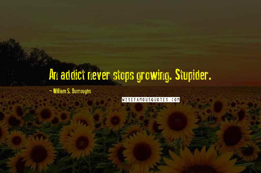 William S. Burroughs Quotes: An addict never stops growing. Stupider.