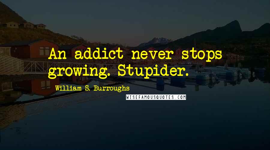 William S. Burroughs Quotes: An addict never stops growing. Stupider.