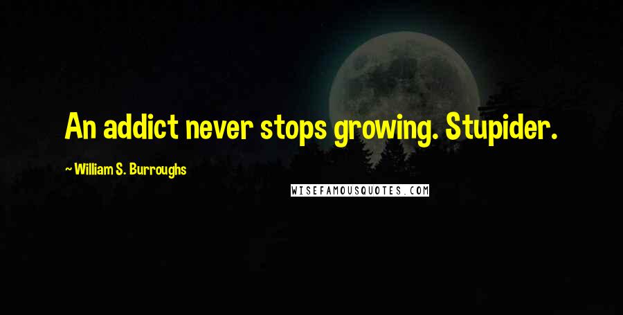 William S. Burroughs Quotes: An addict never stops growing. Stupider.