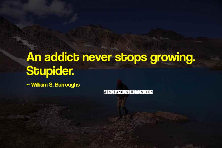 William S. Burroughs Quotes: An addict never stops growing. Stupider.