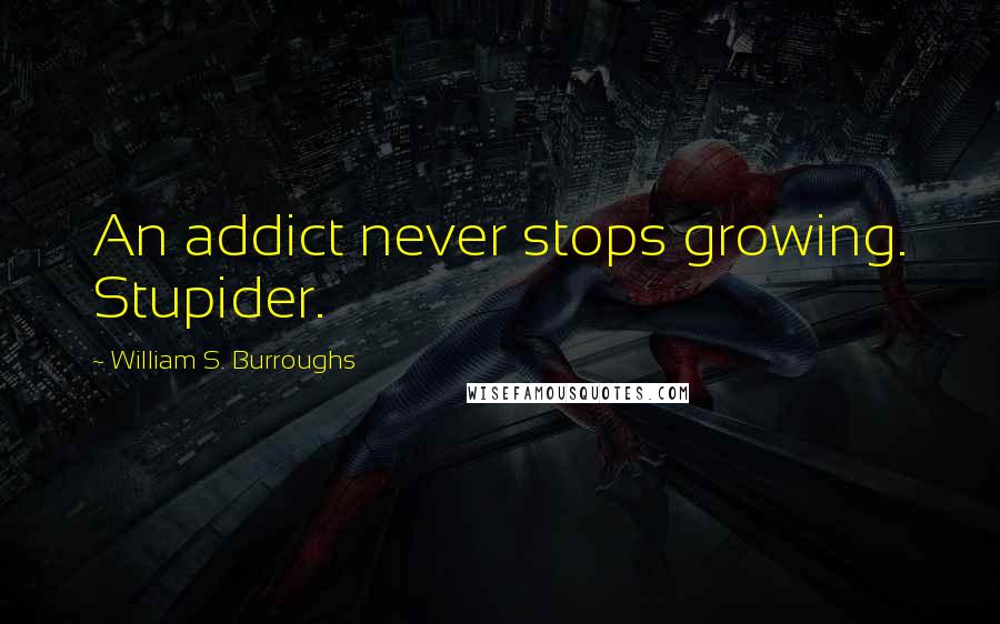 William S. Burroughs Quotes: An addict never stops growing. Stupider.