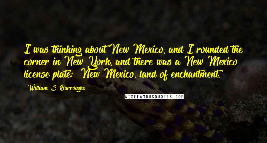 William S. Burroughs Quotes: I was thinking about New Mexico, and I rounded the corner in New York, and there was a New Mexico license plate: "New Mexico, land of enchantment."