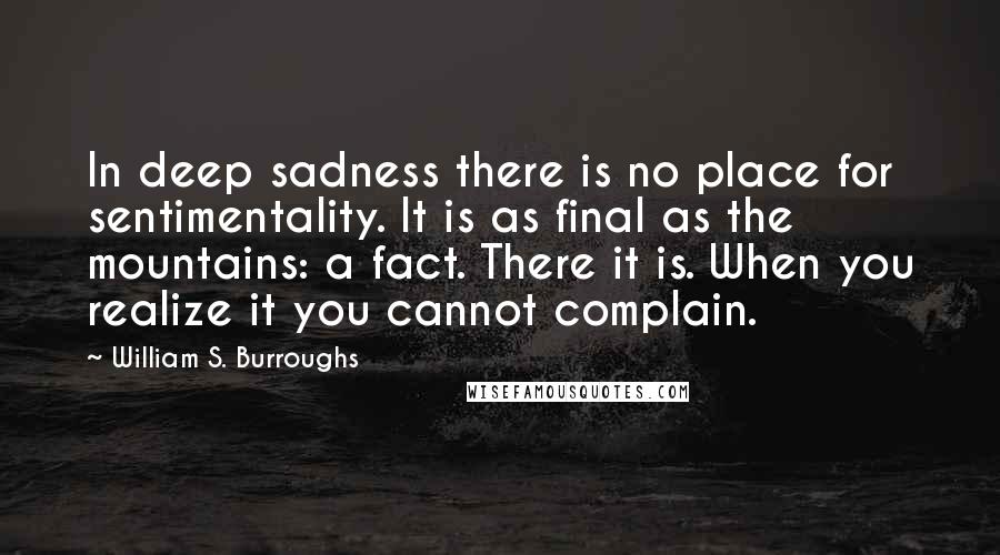 William S. Burroughs Quotes: In deep sadness there is no place for sentimentality. It is as final as the mountains: a fact. There it is. When you realize it you cannot complain.