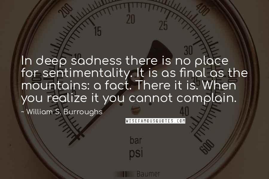 William S. Burroughs Quotes: In deep sadness there is no place for sentimentality. It is as final as the mountains: a fact. There it is. When you realize it you cannot complain.