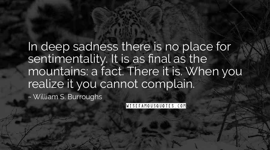 William S. Burroughs Quotes: In deep sadness there is no place for sentimentality. It is as final as the mountains: a fact. There it is. When you realize it you cannot complain.