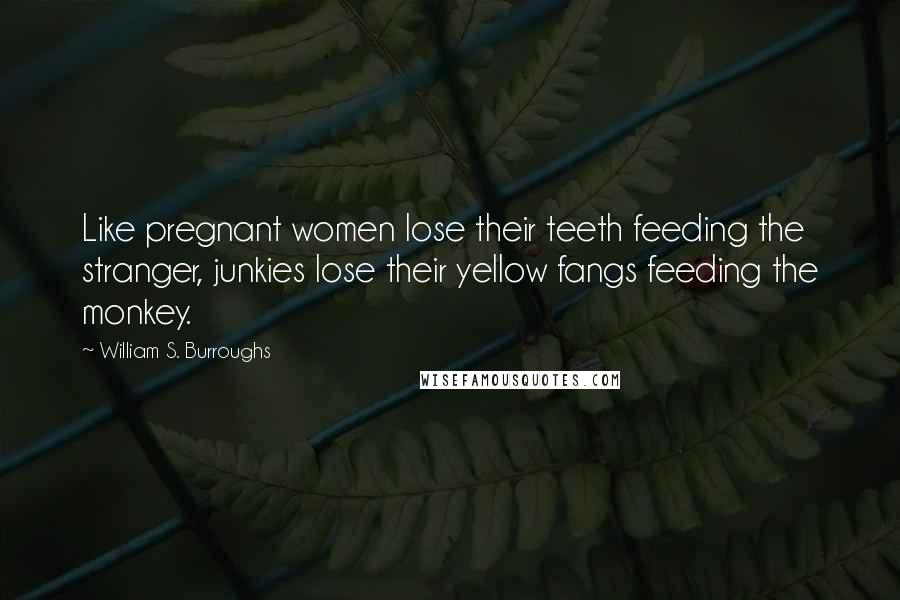 William S. Burroughs Quotes: Like pregnant women lose their teeth feeding the stranger, junkies lose their yellow fangs feeding the monkey.