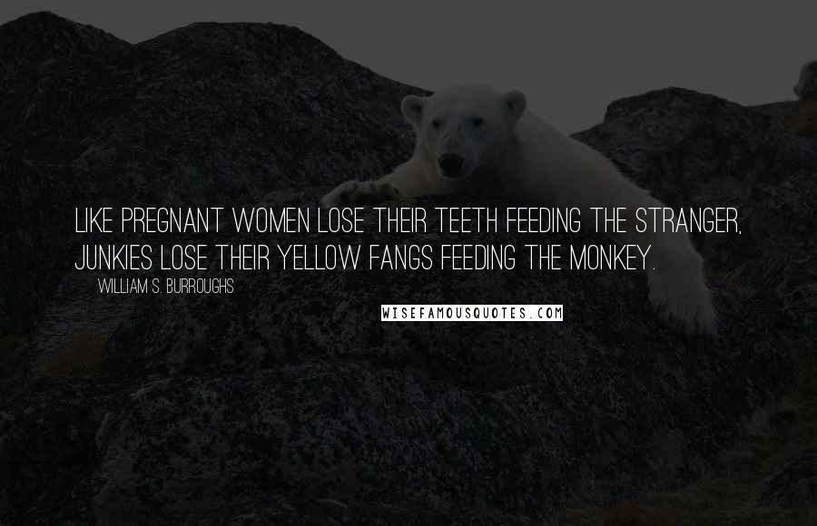 William S. Burroughs Quotes: Like pregnant women lose their teeth feeding the stranger, junkies lose their yellow fangs feeding the monkey.