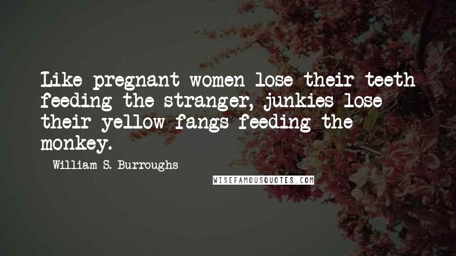 William S. Burroughs Quotes: Like pregnant women lose their teeth feeding the stranger, junkies lose their yellow fangs feeding the monkey.