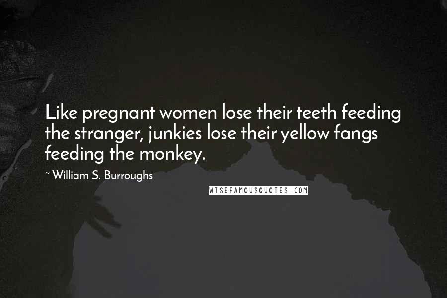 William S. Burroughs Quotes: Like pregnant women lose their teeth feeding the stranger, junkies lose their yellow fangs feeding the monkey.