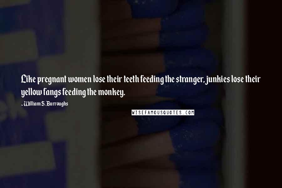 William S. Burroughs Quotes: Like pregnant women lose their teeth feeding the stranger, junkies lose their yellow fangs feeding the monkey.