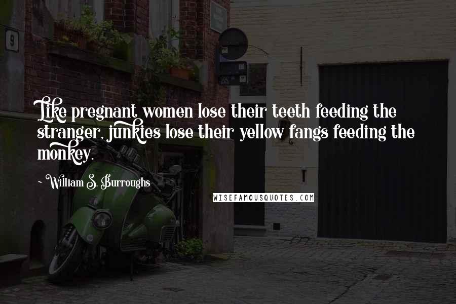 William S. Burroughs Quotes: Like pregnant women lose their teeth feeding the stranger, junkies lose their yellow fangs feeding the monkey.
