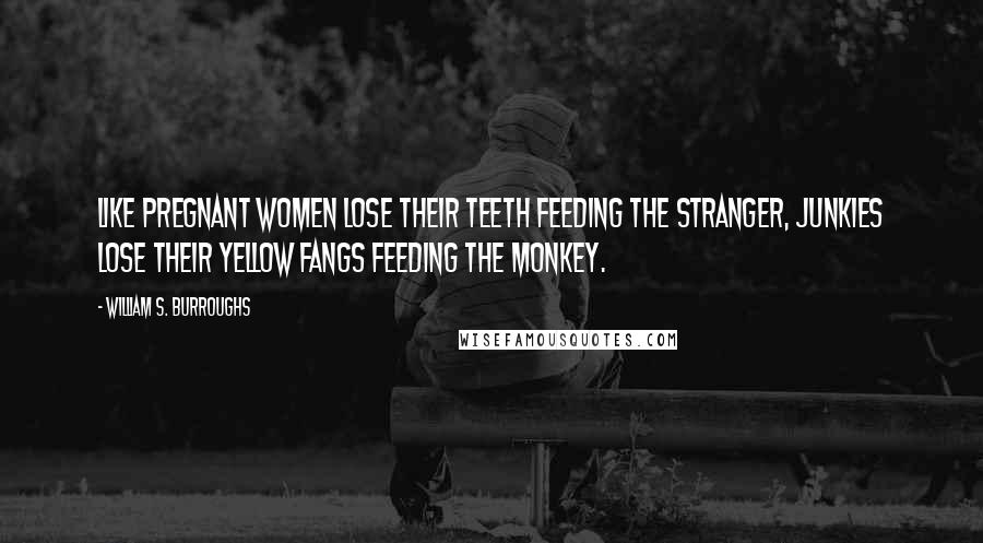 William S. Burroughs Quotes: Like pregnant women lose their teeth feeding the stranger, junkies lose their yellow fangs feeding the monkey.