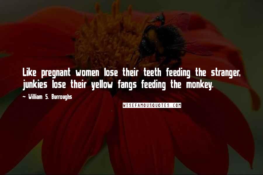 William S. Burroughs Quotes: Like pregnant women lose their teeth feeding the stranger, junkies lose their yellow fangs feeding the monkey.