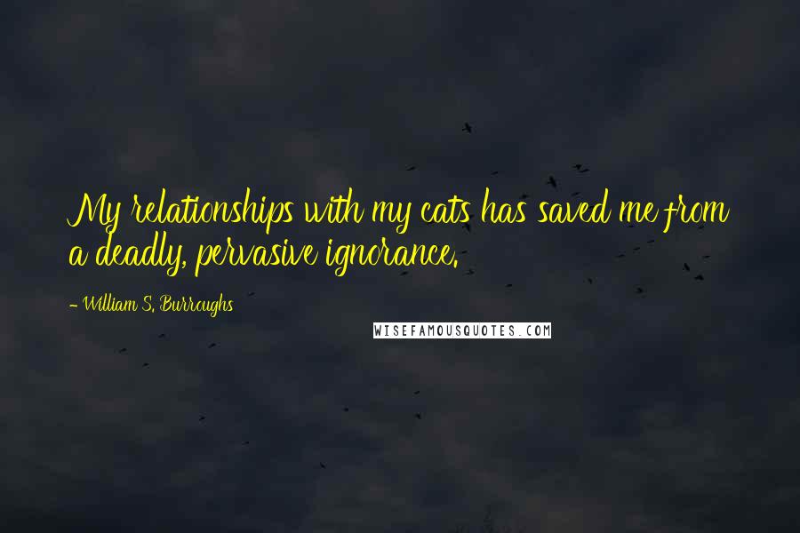 William S. Burroughs Quotes: My relationships with my cats has saved me from a deadly, pervasive ignorance.