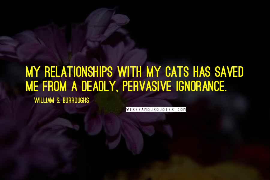 William S. Burroughs Quotes: My relationships with my cats has saved me from a deadly, pervasive ignorance.