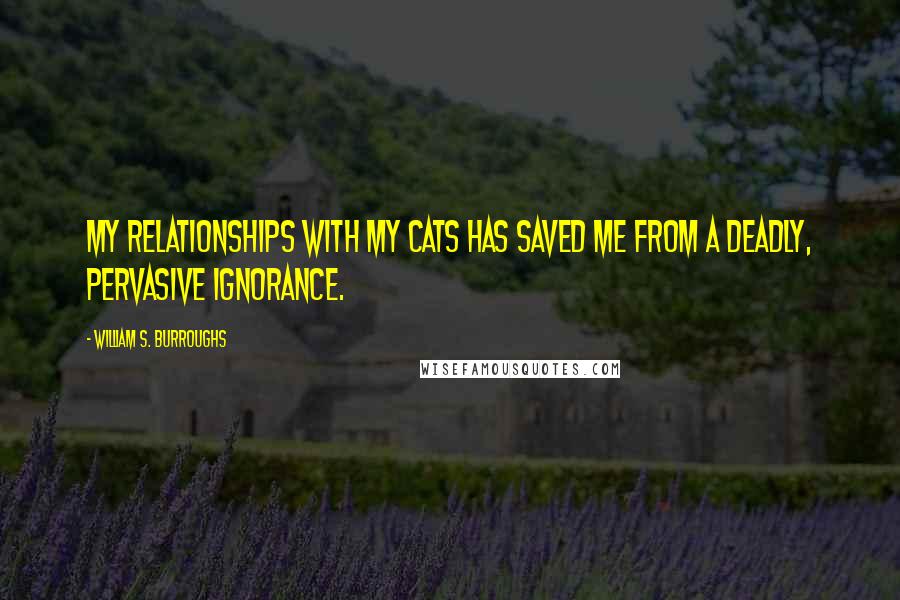 William S. Burroughs Quotes: My relationships with my cats has saved me from a deadly, pervasive ignorance.