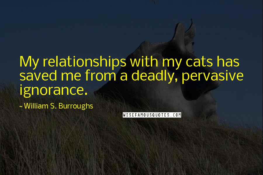 William S. Burroughs Quotes: My relationships with my cats has saved me from a deadly, pervasive ignorance.