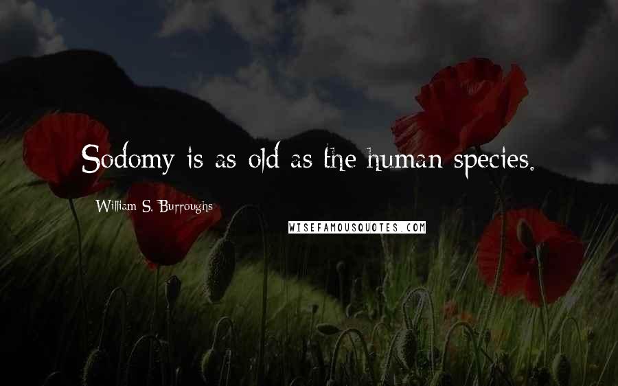 William S. Burroughs Quotes: Sodomy is as old as the human species.