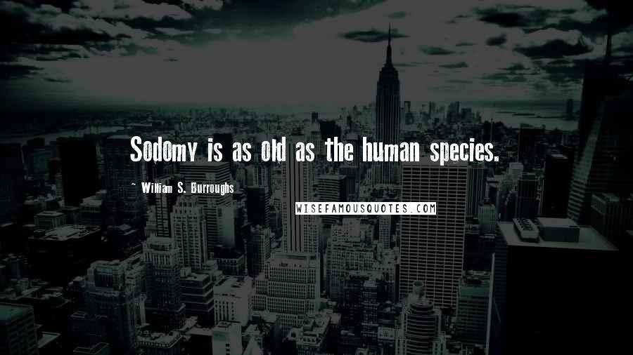 William S. Burroughs Quotes: Sodomy is as old as the human species.